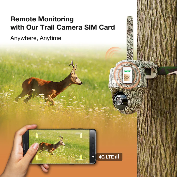 4G Data Only Sim Card for Trail Camera - Image 7